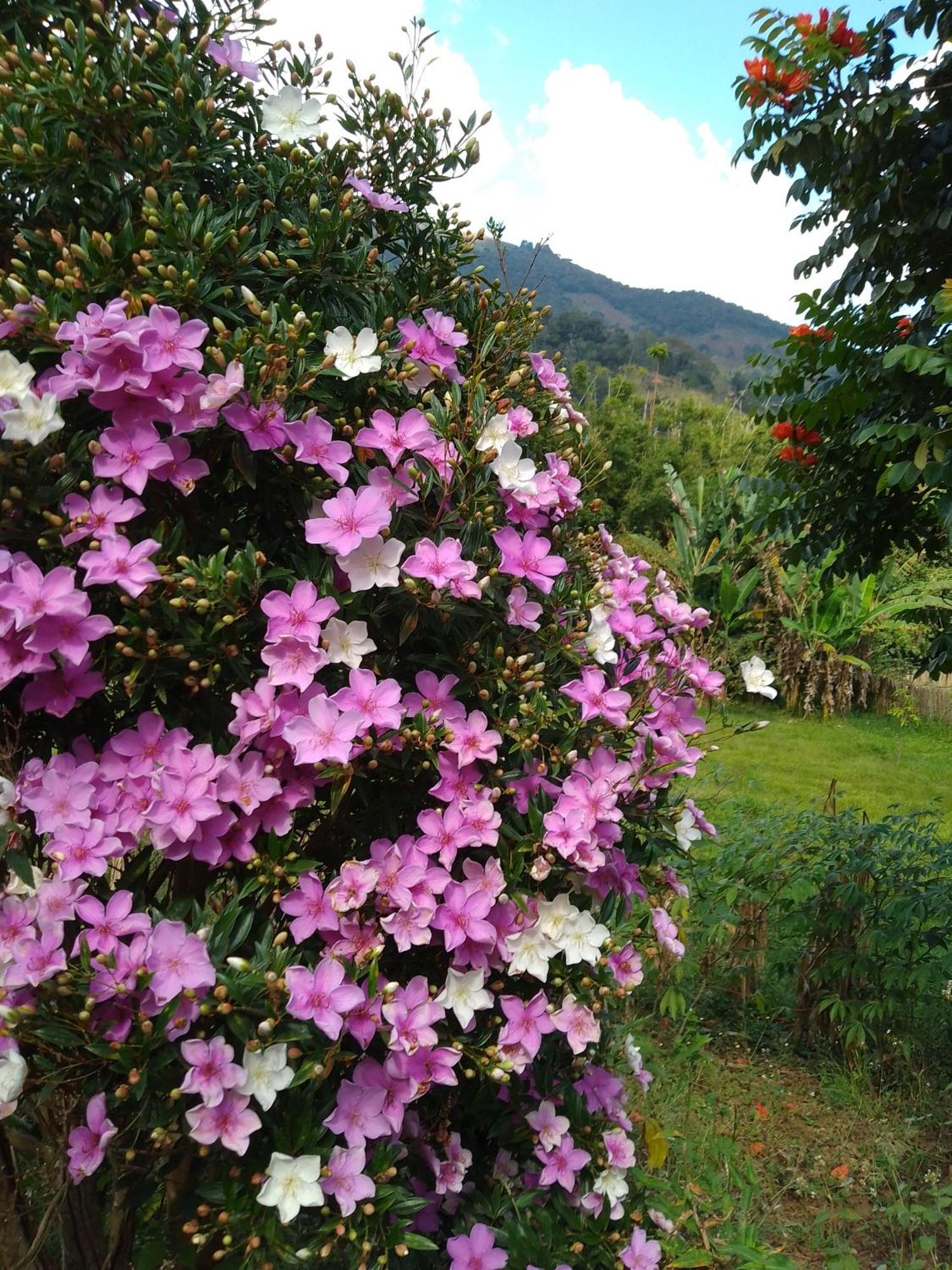 Willa Rancho Pe Da Pedra São Bento do Sapucaí Pokój zdjęcie